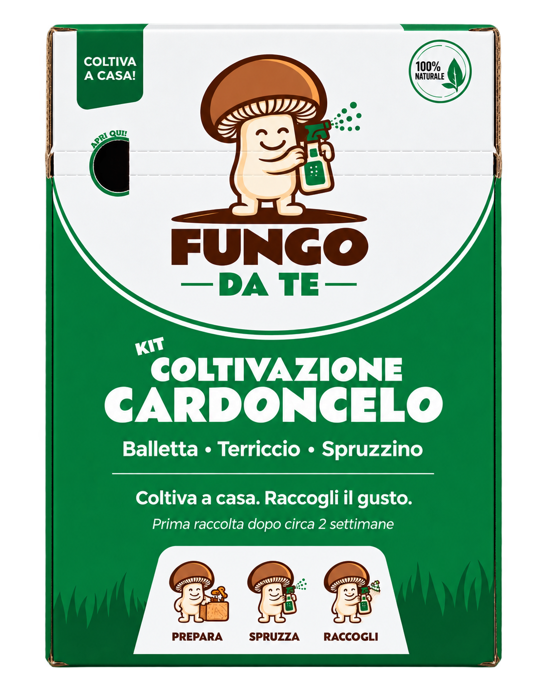 Scatola del Kit Coltivazione Cardoncello Fungo Da Te